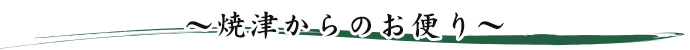 焼津からのお便り